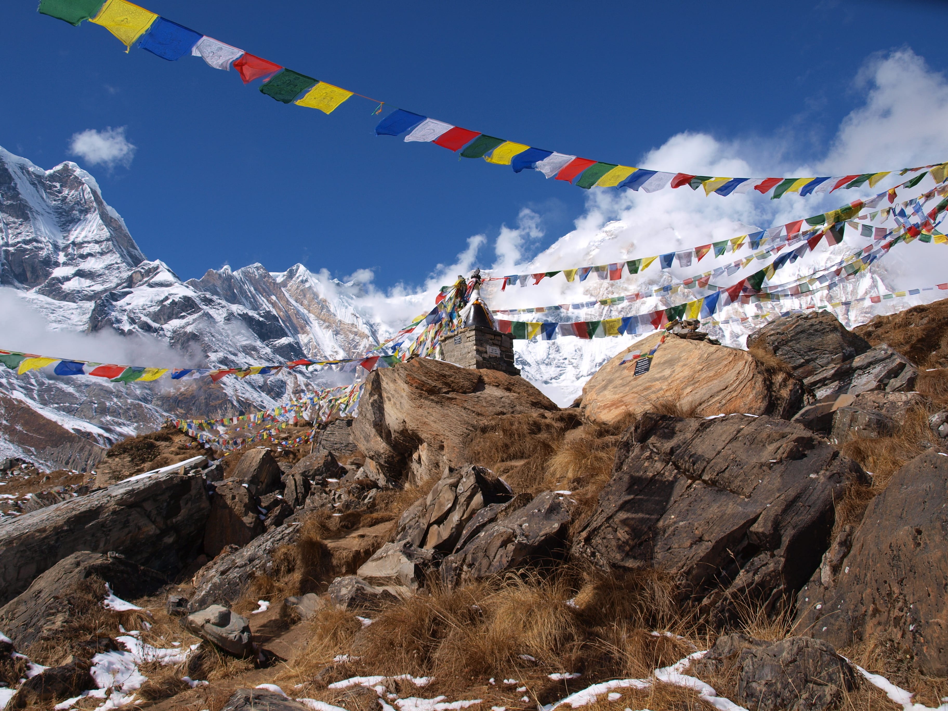 best yoga classes online