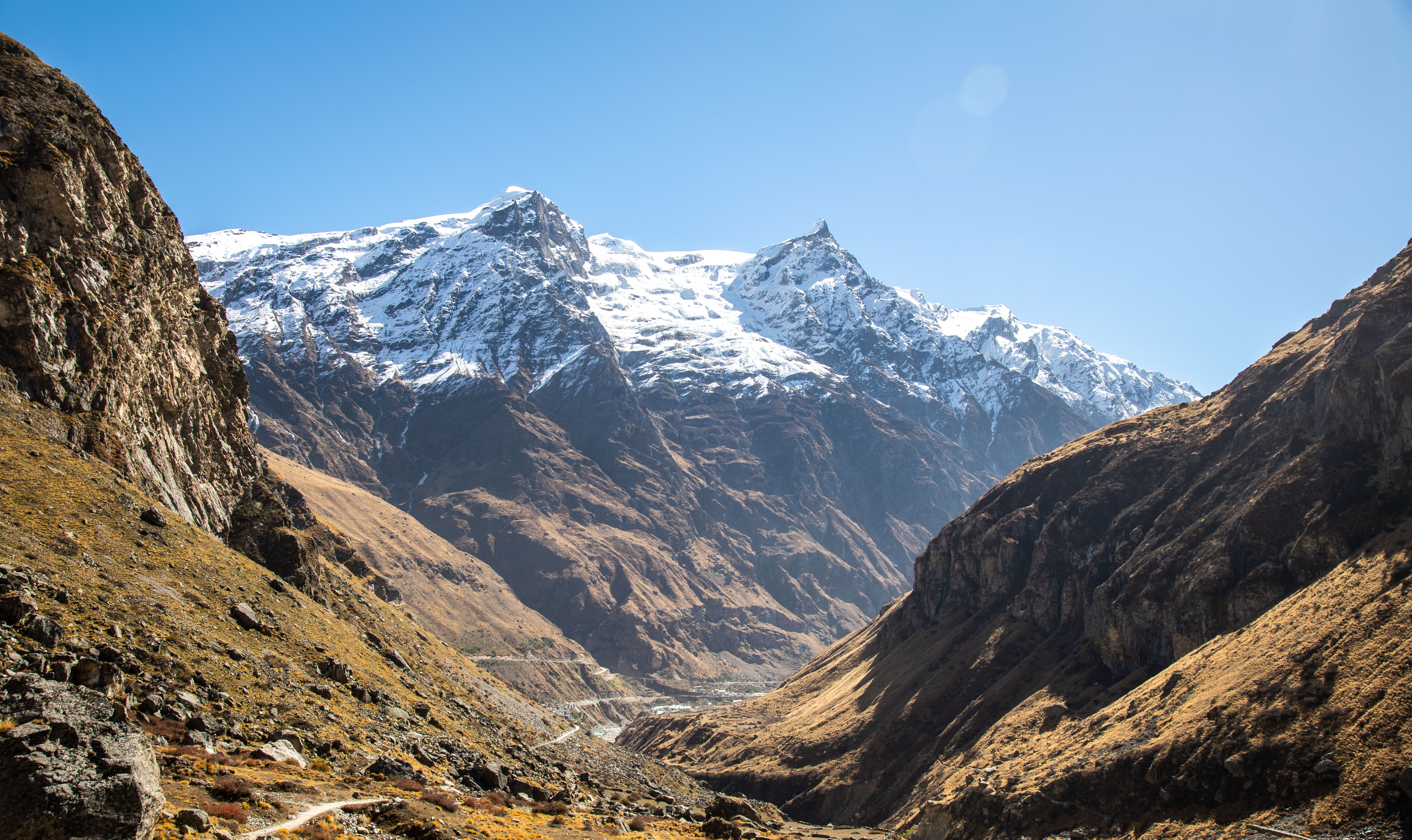 yoga meditation classes online