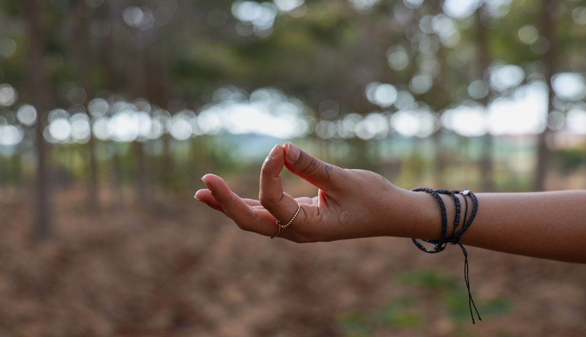 Yoga courses for beginners